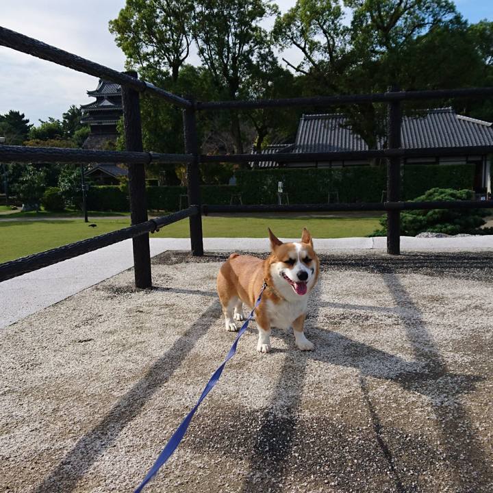 24c3bd1f c80d 455c abf7 4e27162a6324 1603160098066