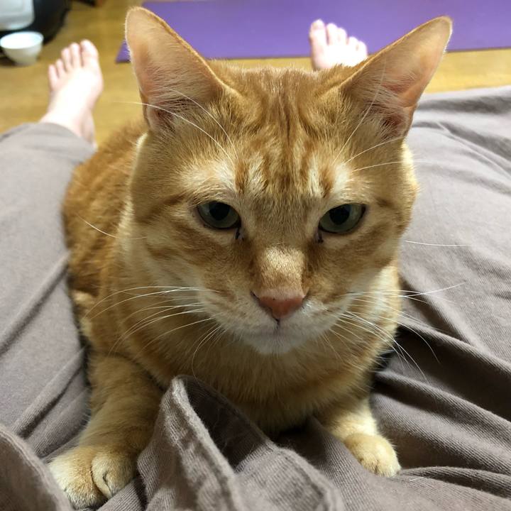 24c3f440 b280 4e21 a345 a6c22e355d90 1603620620218