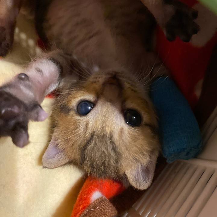 24c3f5bd 0324 454b b149 79bb0756e77f 1619357340975