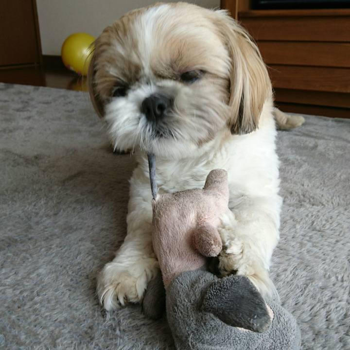 24c404b1 c65b 4659 a1de cb31b8c3adbc 1555989950584