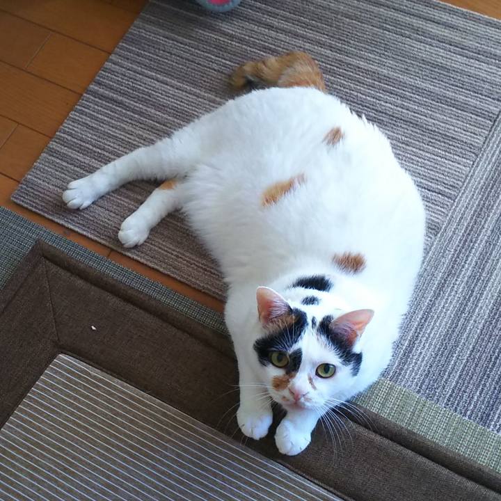 24c45f86 3054 42cf 95eb 9e4c3eef7d52 1566775085629