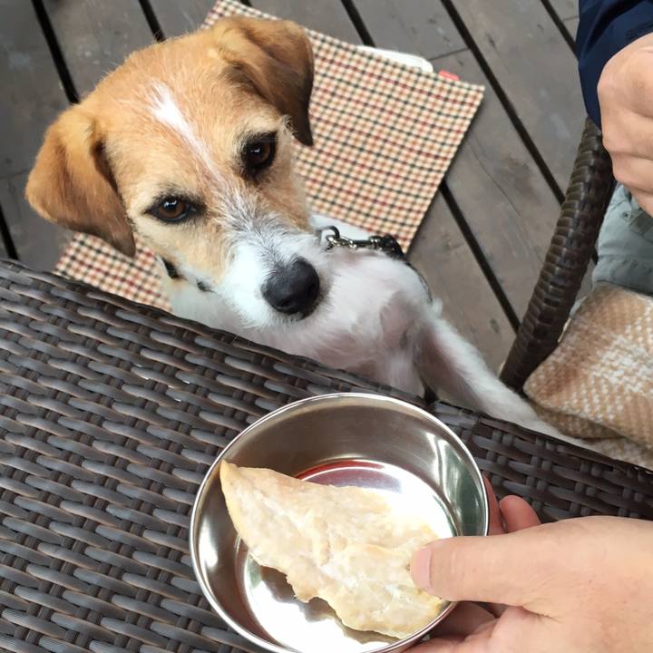 24c48371 508d 4a97 9d96 1831a5ee6625 1568361949270