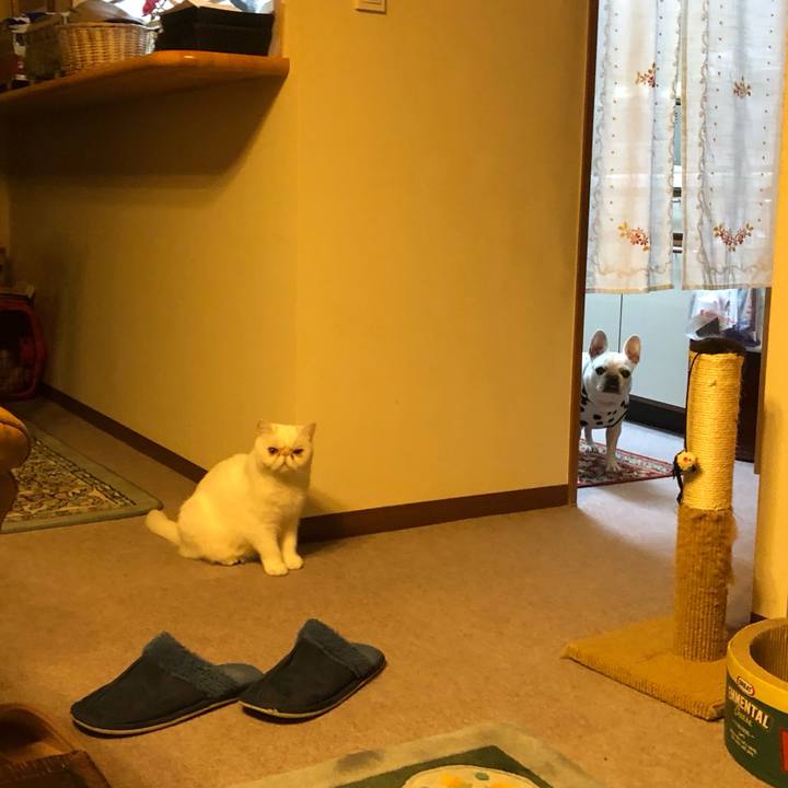 24c49696 5fef 42b8 8c1a 337341756578 1673782432716