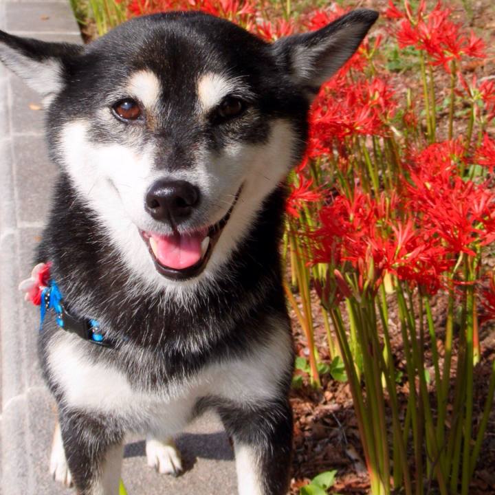 24c49a78 ab21 48b4 9273 a89a47757b20 1569892361624