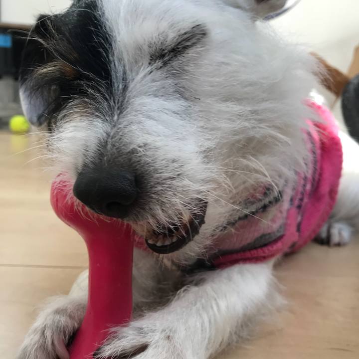 24c49ccf 13be 4490 93b2 c6fd3b0e5fe1 1519002056237