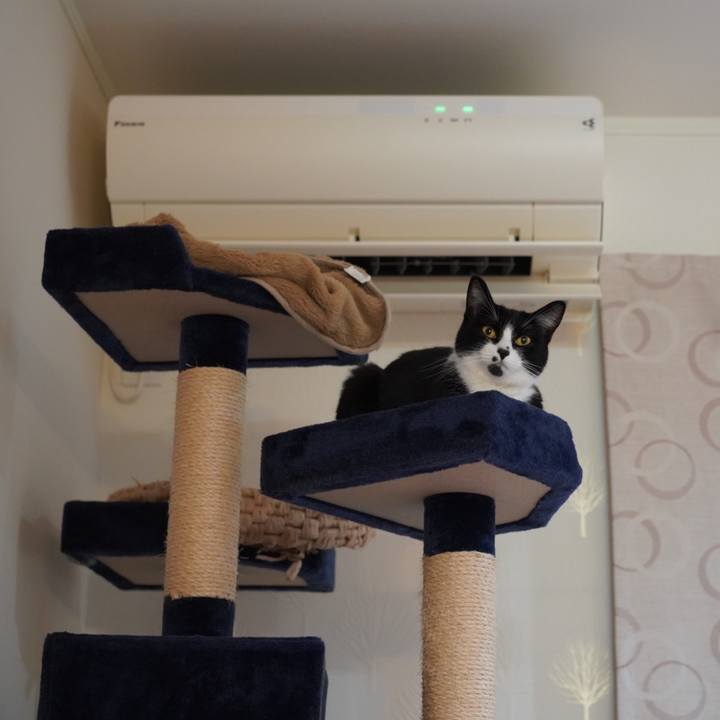 24c4a19d 9d97 45a3 9b57 281dc9f4ed53 1626530398261