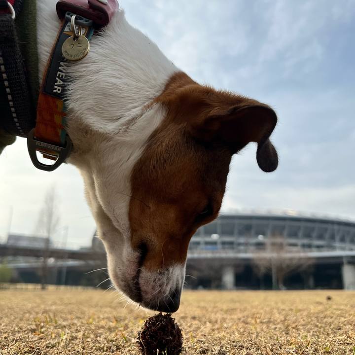 24c4b3ff 1986 47e4 be5d fff51707764b 1711439954373