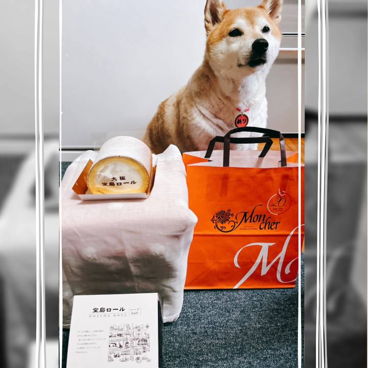 24c4cf4f 10c1 40a8 a085 8012b493fb9e 1725323633785