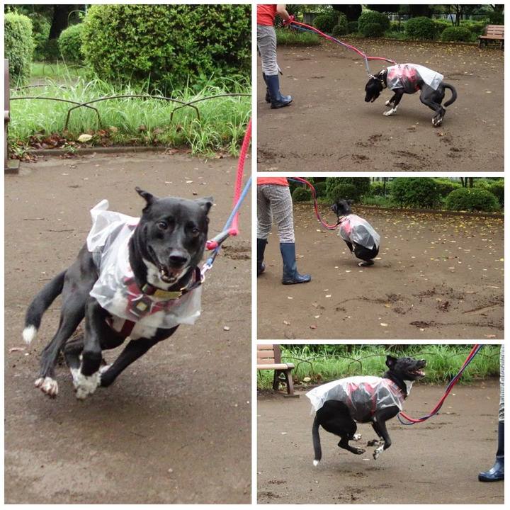 24c4f58d 37fa 4560 af51 e687ebaac36b 1628814146764