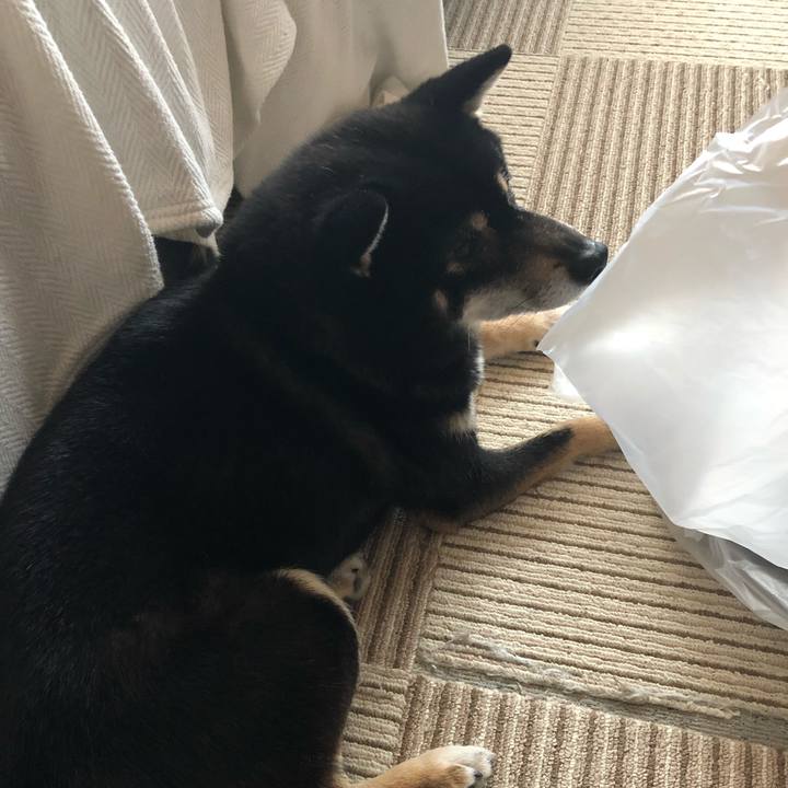 24c4fc99 0324 4822 b486 8b8d9b46fa04 1549620702272