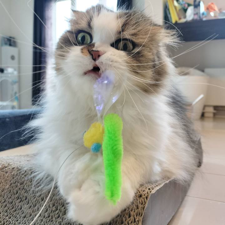 24c51114 0aed 4e45 9593 4e39986f2f08 1773883052238