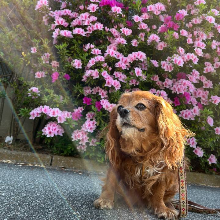 24c5142b edff 4f39 ae6d dca5aa0f67ee 1745624212548