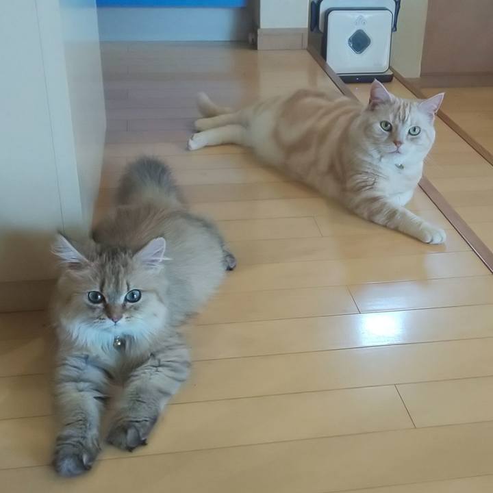 24c53249 5115 42c0 ab7f 44541934116c 1559088520442