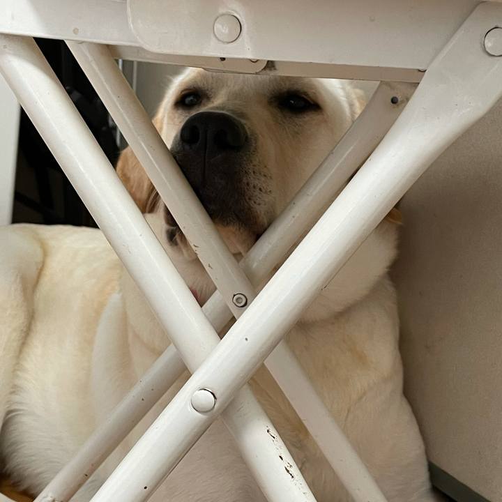 24c5634c 2279 47ba 8032 77f9b5e82df6 1635062044821