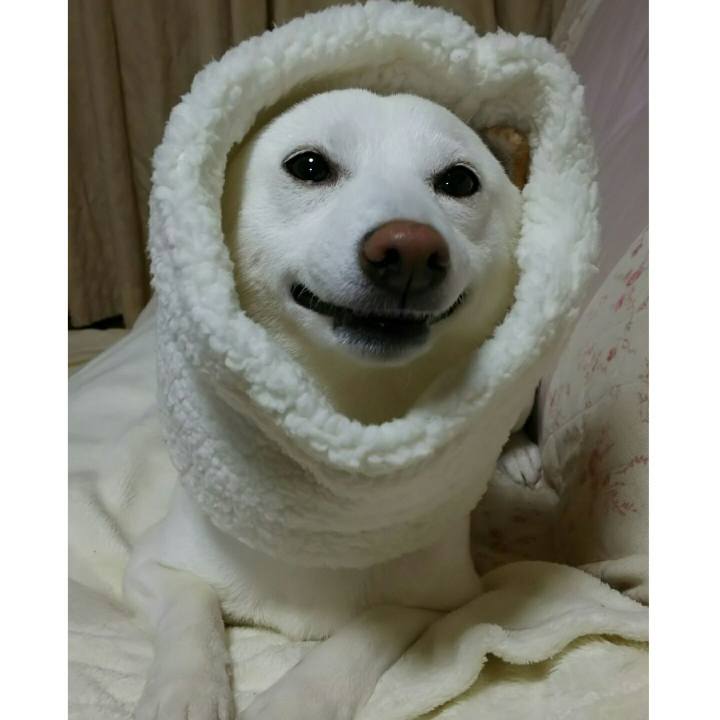 24c5826b d3d8 49a6 9f21 39cc13ec3105 1542801048834