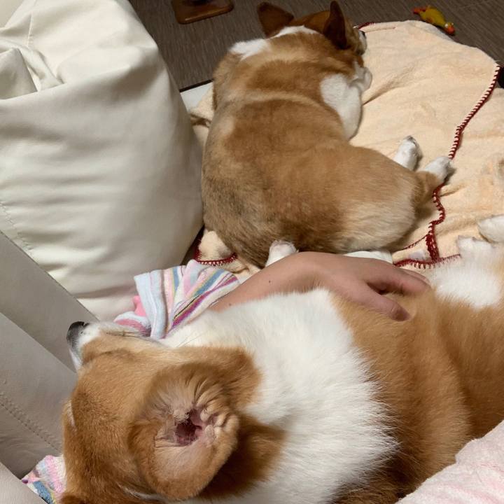 24c587d0 cb49 4fd4 9231 79cc663e3532 1560123300992