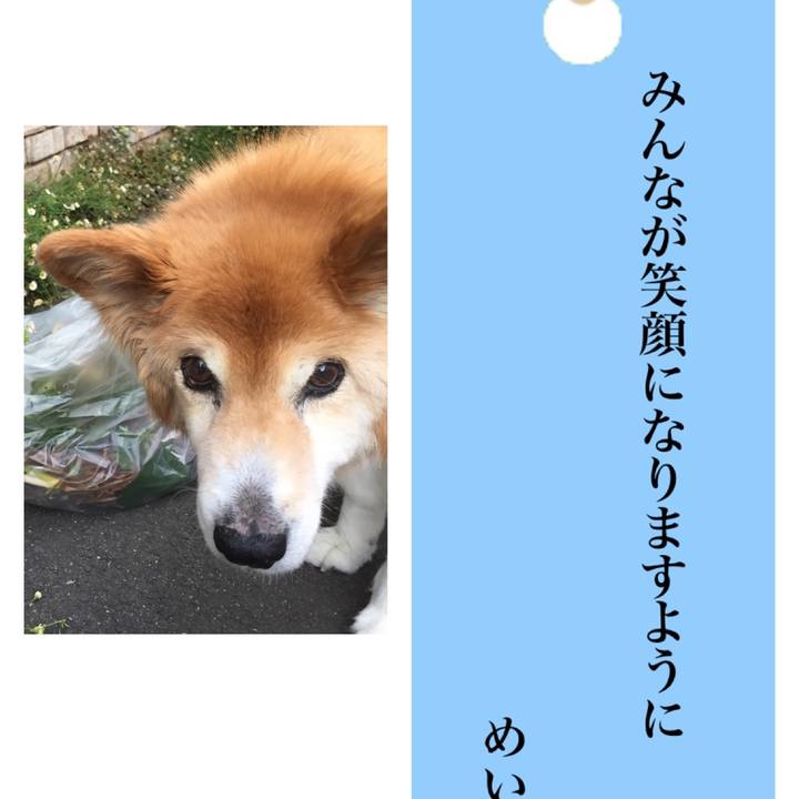 24c598d0 68eb 45d3 8b81 42e982765bf8 1625617101071