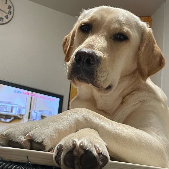 24c5b243 503d 4758 b050 9ec53d8b2626 1645013899279