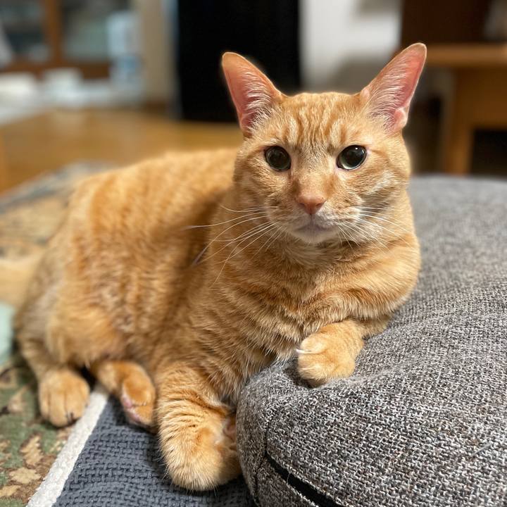 24c615aa 2acd 4bbd 80ec d5086d01f296 1770195278532