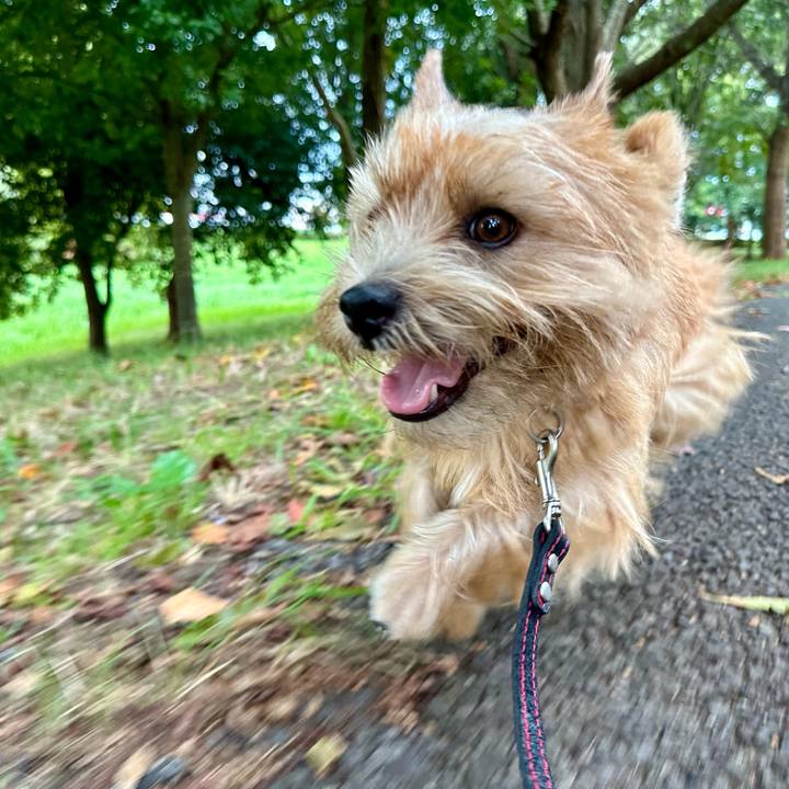 24c630fb 5e41 44e6 9fc1 20390f33aed3 1759105111443