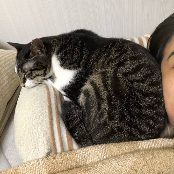 24c63a96 f0ff 40d4 ad6d d6bd44eb0cf5 1561740367531