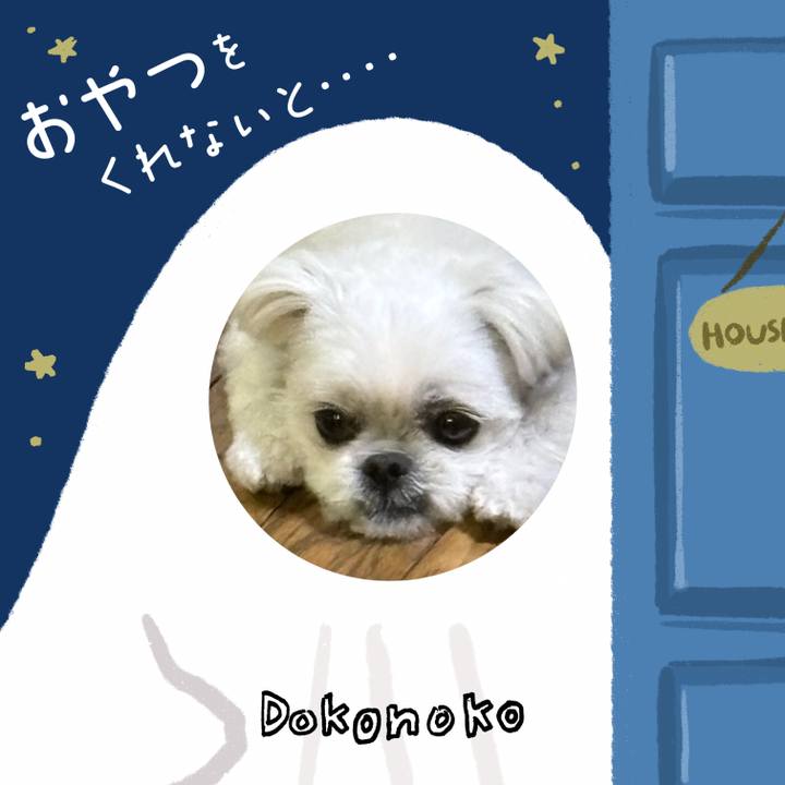 24c64793 efb7 4842 b2a8 c98867d3720a 1729467020090