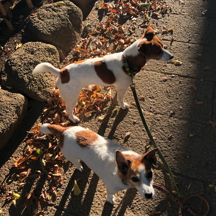 24c67dd4 411f 4351 ba72 7047cbd32d4e 1573220310669