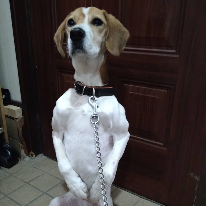 24c6befd 9da6 435c b018 44c626163b04 1645519037126