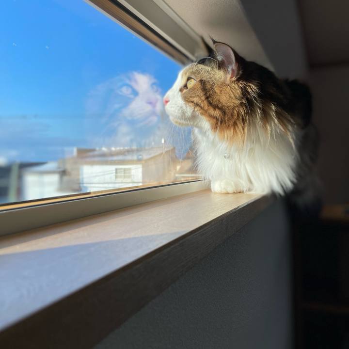 24c6df8f 4c63 4c77 9805 bc4dc3b15c90 1649627505207