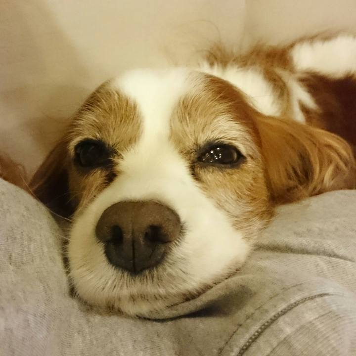 24c718f1 ec28 4316 aee7 7f22a2452962 1540179149294