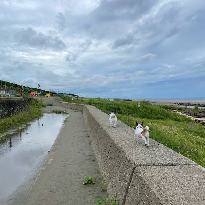 24c7248b c4eb 4866 a95d 3de7cb005599 1662076491937