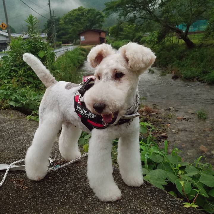 24c74b16 ae68 4d90 9e9b 8b7301d8552d 1564234752893