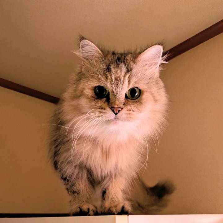 24c76301 8942 4c59 983f b9282370196b 1757204471332