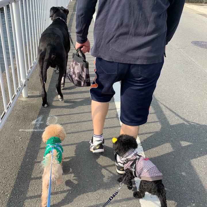 24c7703d 9adc 466a 8c25 5792916ebe1e 1555805898530