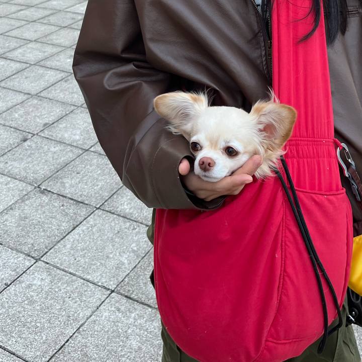 24c7726d 150b 4d07 91a2 cc0a28795160 1737018115322