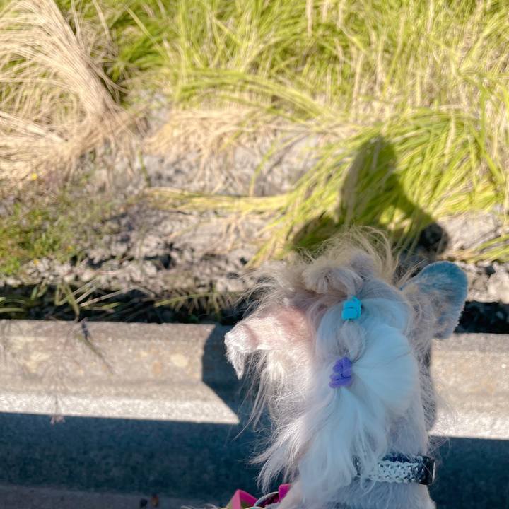 24c78c0c aa71 4dca 8241 b45078bc6e30 1760088326423