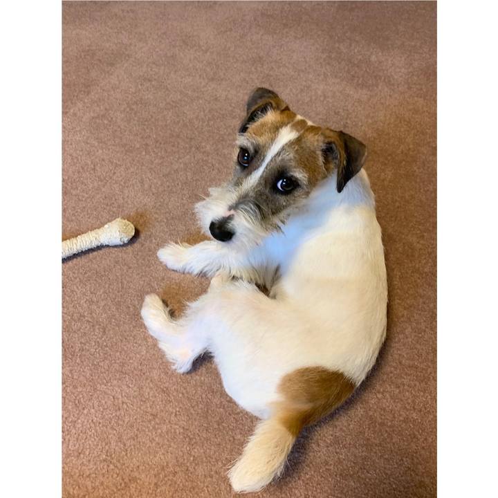 24c7983e fd1a 436b 8649 1c9fb9222c8f 1576019560517