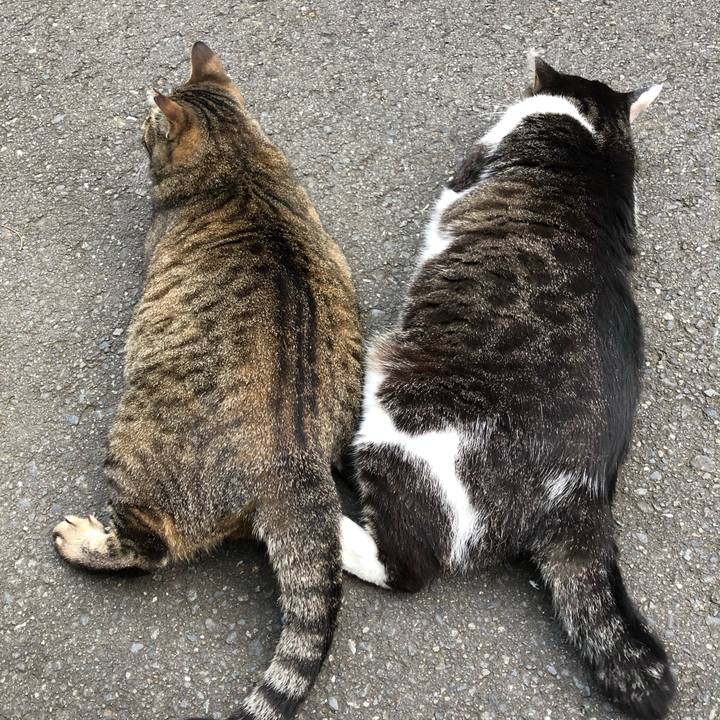 24c7c243 eea6 4974 bd54 351a2c745071 1562751246484