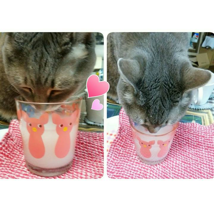 24c7c396 e4b7 4078 be6b 3d43b3962a88 1522530184674