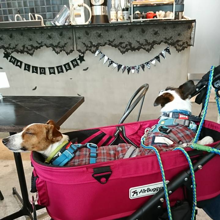 24c7d28a b1e3 4c6d 8eeb dd32f96e788e 1601713367255