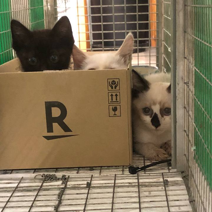 24c7d737 c0ff 4621 b89f d6b12956c00c 1658325179846