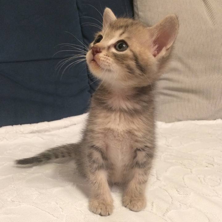 24c7f50c c836 4921 9128 b15d10a53200 1619102846963