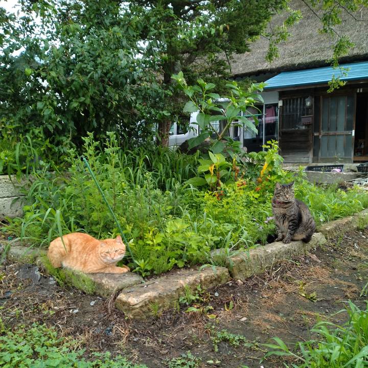 24c7fed2 9073 4015 aefc 2e606818947d 1689891155364