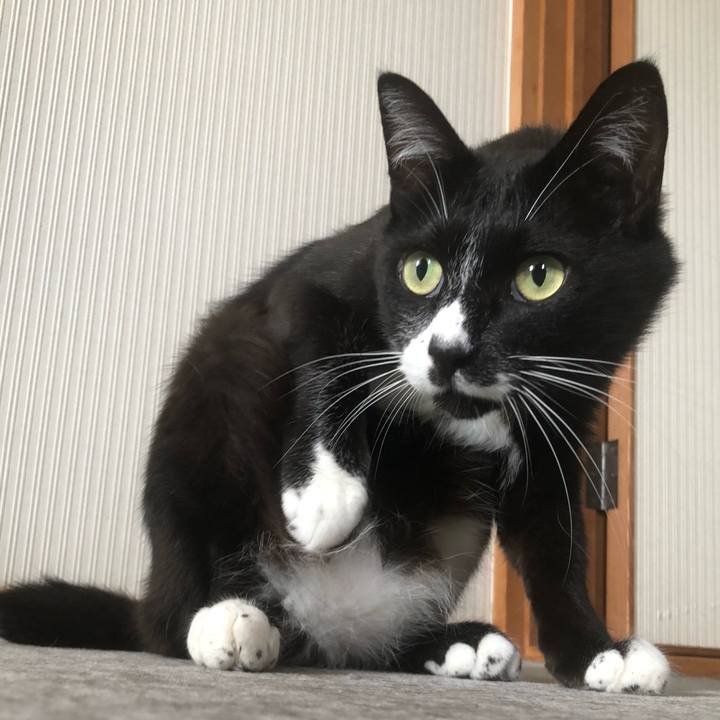 24c8082d afaf 4fe1 a3d2 63f9eee6d2ed 1661830684903