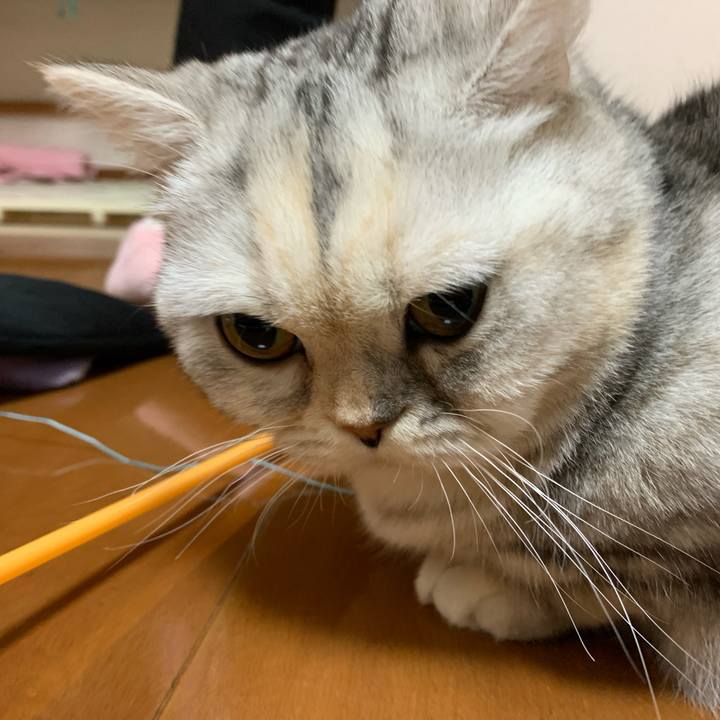 24c811d8 b6e7 4de3 87b7 5ad00d0422e5 1708344678310