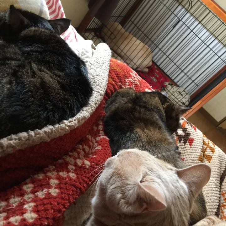 24c818ce 617e 408b 8b4b 61a933e5eca5 1509504713557