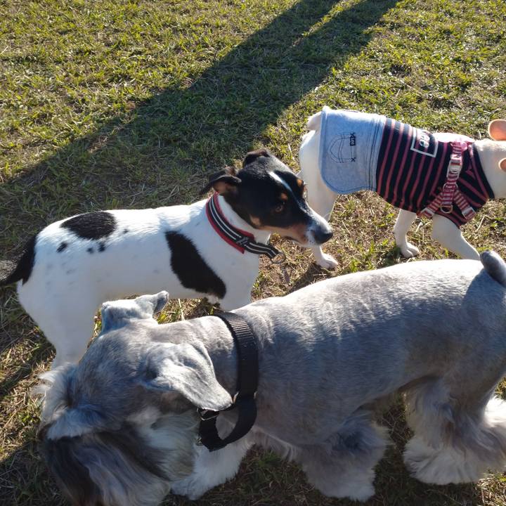 24c828c8 c76e 4ef0 984c 318e8ee75a89 1603628268009