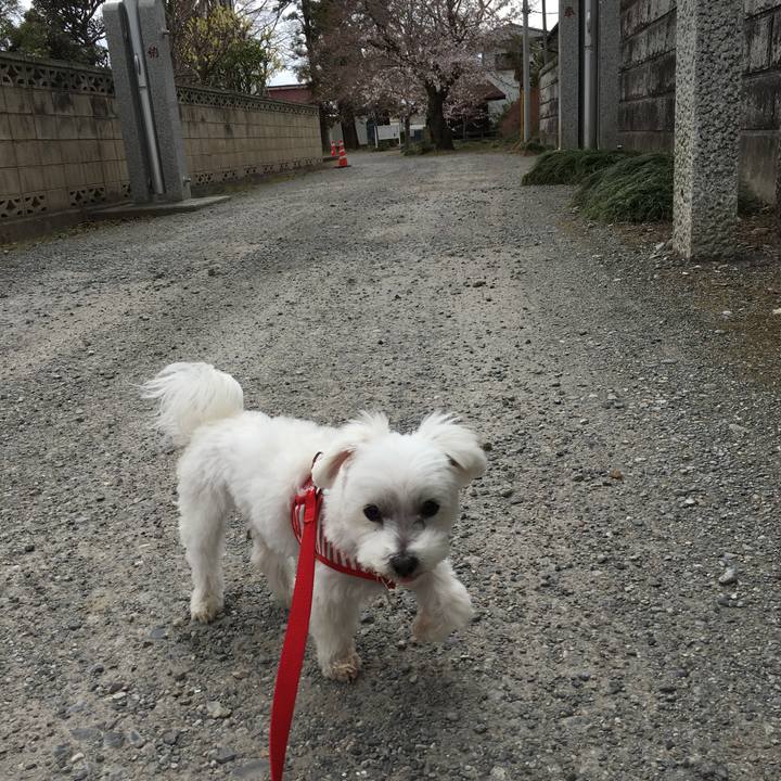 24c83349 e6e6 419b 923f 085ca286c1a3 1553821078347