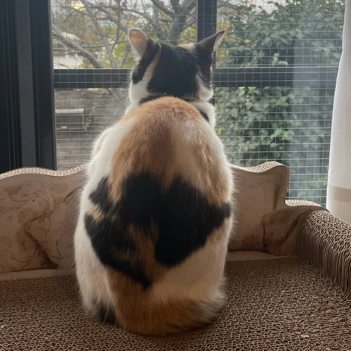 24c84791 afae 429f 915c 7b7bfd710079 1673656384966