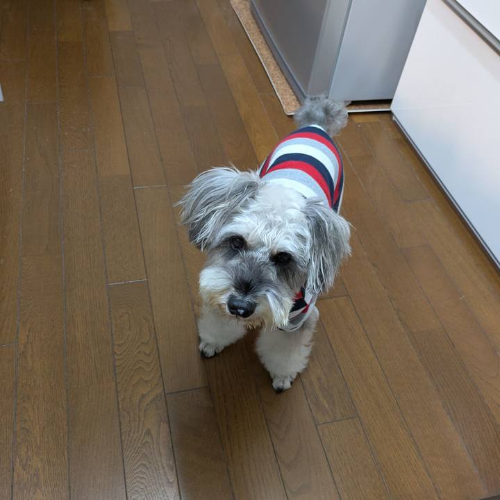 24c84fa4 d150 41e5 8123 95ec84cda4c0 1761908004475